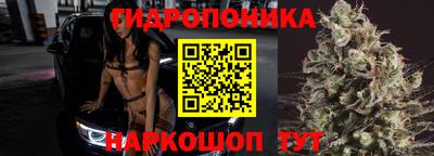 сатива Конаково